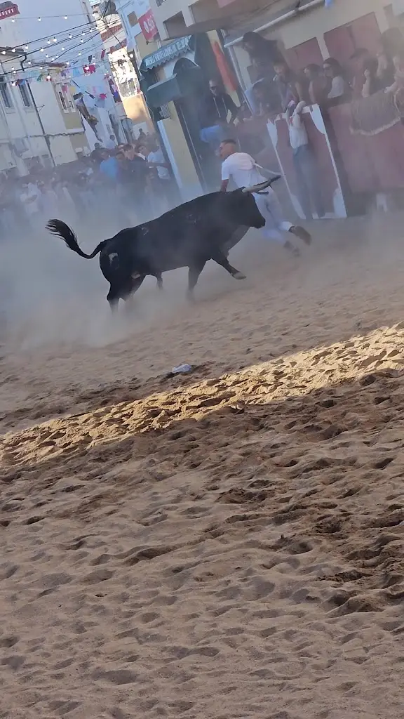 Churrasqueira Espalha Brasas | Azambuja ristorante a Azambuja