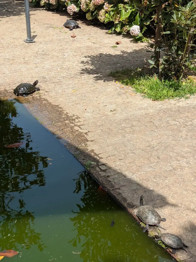 Gabriel Ortiz_Sabor-A-Mar_Arcozelo_avis