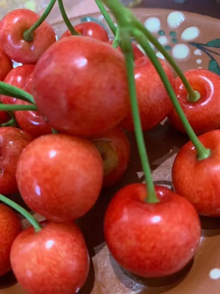 Menu_Restaurante Bernardina_Avelãs da Ribeira_imagen_5