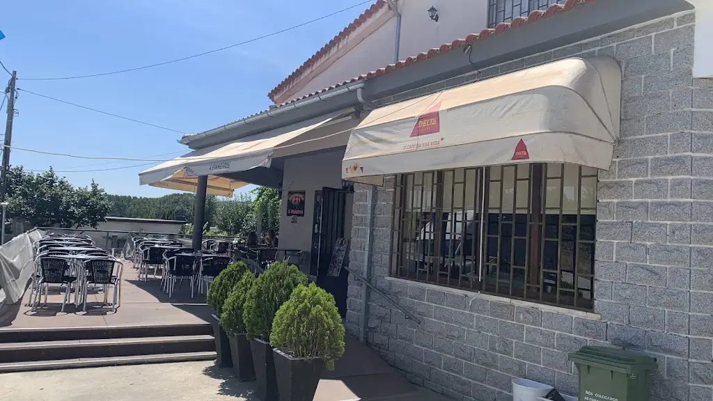 Fátima Serrão_4 Pinheiros_Avelãs da Ribeira_recensione