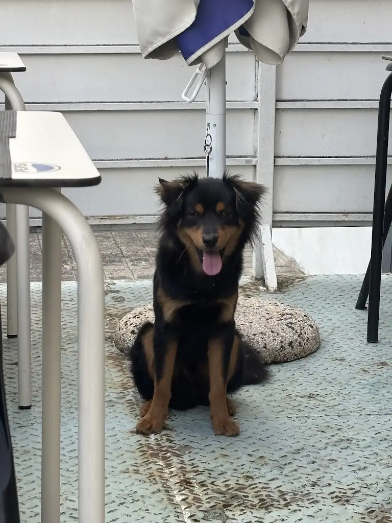 Martin Chalcraft (Chalky)_Restaurante Nómada_Baraçal_recensione