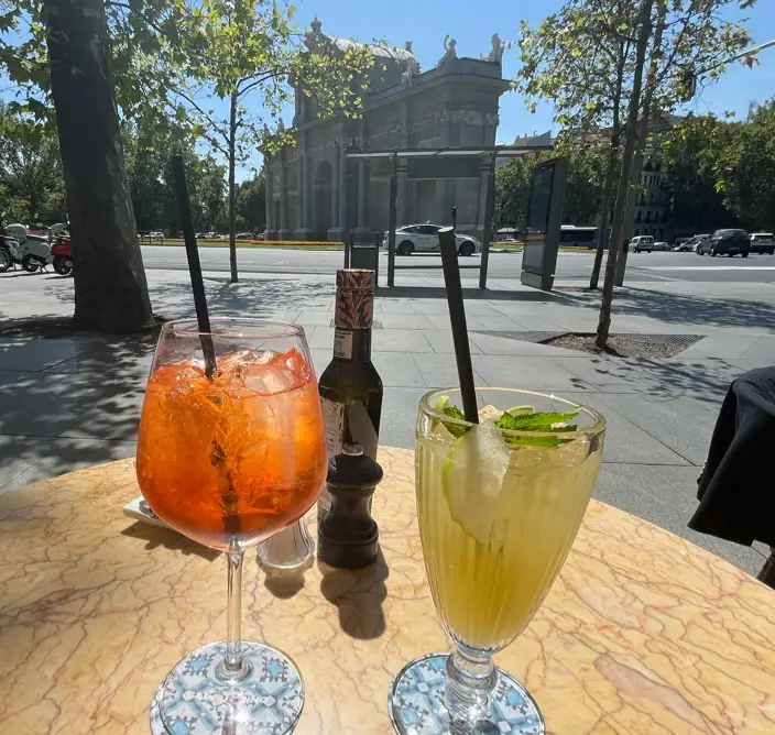 Pedro Menezes_Cisne do Parque_Bobadela_recensione