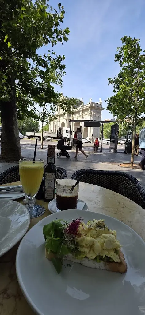 Odracir Otnip_Cisne do Parque_Bobadela_recensione