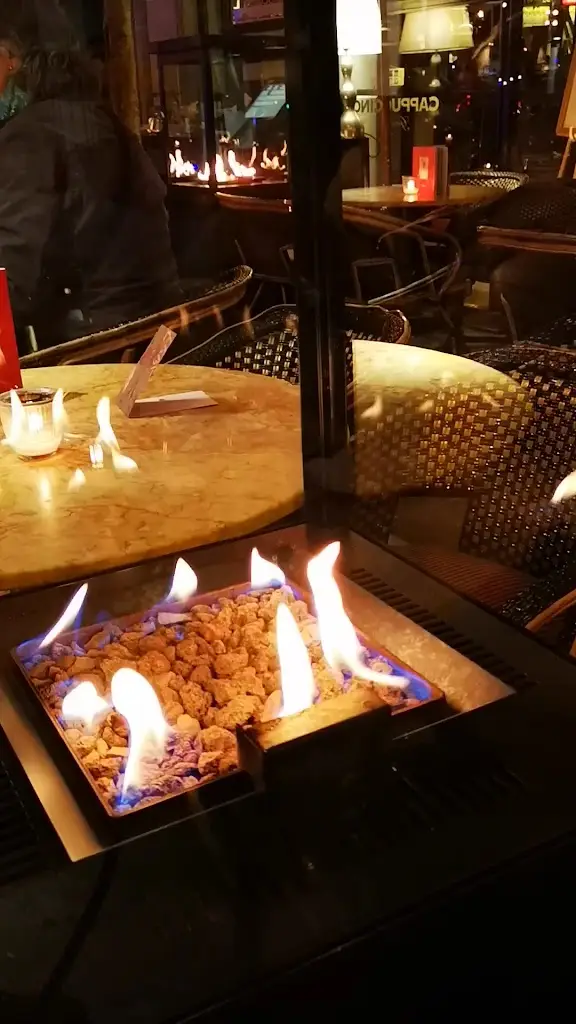 Cisne do Parque_Bobadela_slider_image_2