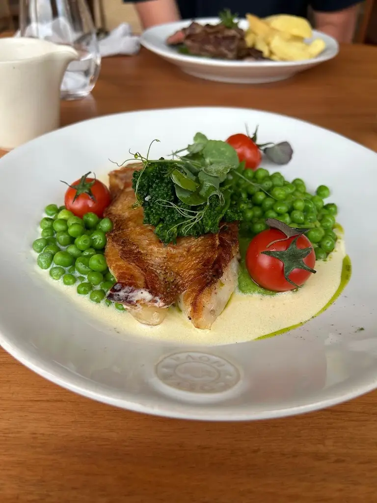 Robin Eßer_Musa_Arrifes_recensione