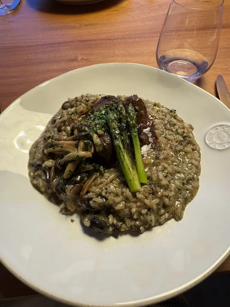 Helena Studzinska_Musa_Arrifes_recensione