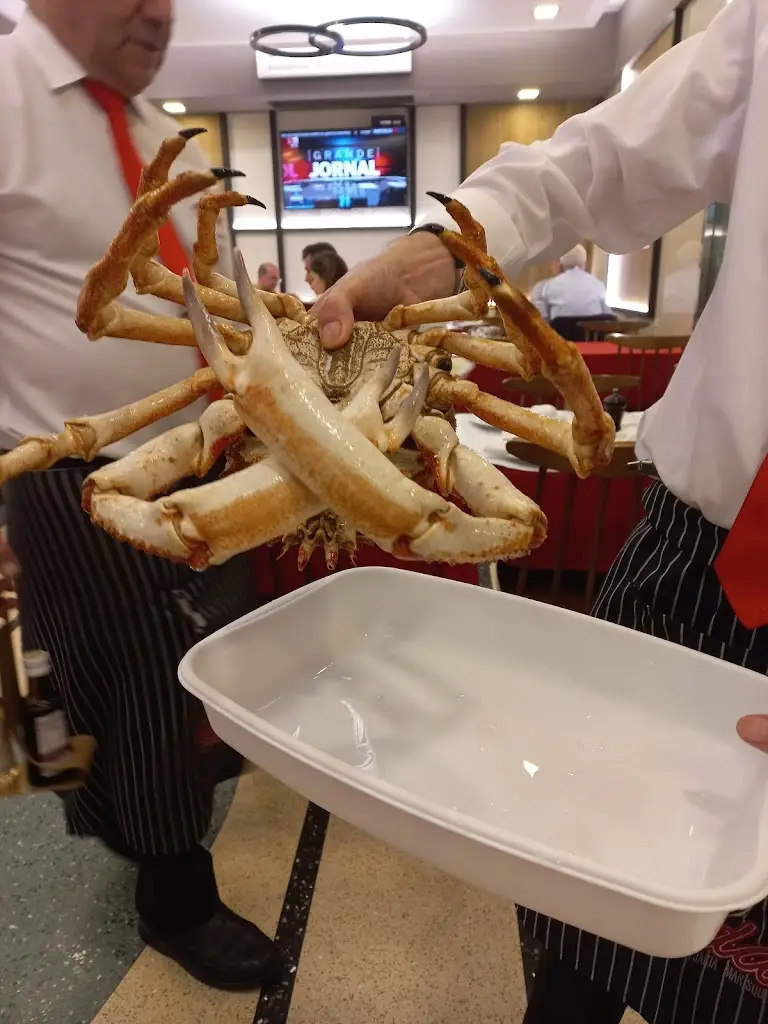 Giampaolo Coggi_Marisqueira A Roda_Benfica_recensione