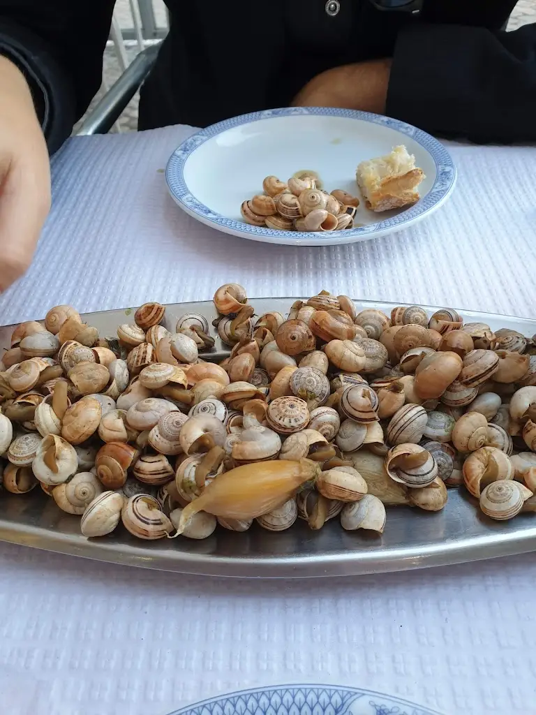 José Manuel Domingos_O Hoquista_Benfica_recensione