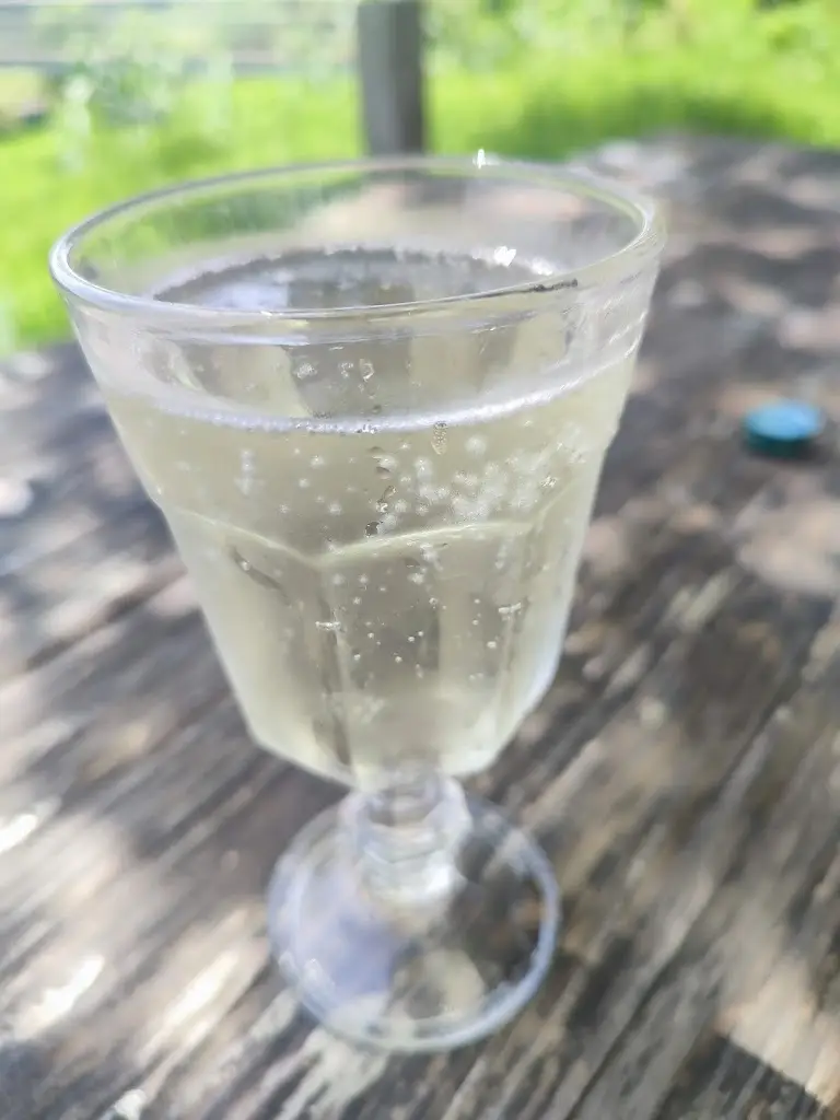 Menu_Irmãs Raposo_Camarate_immagine_6