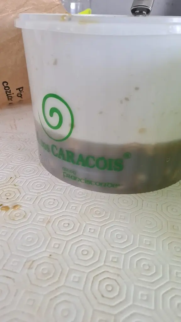 Menu_Casa dos Caracóis_Campolide_imagen_5