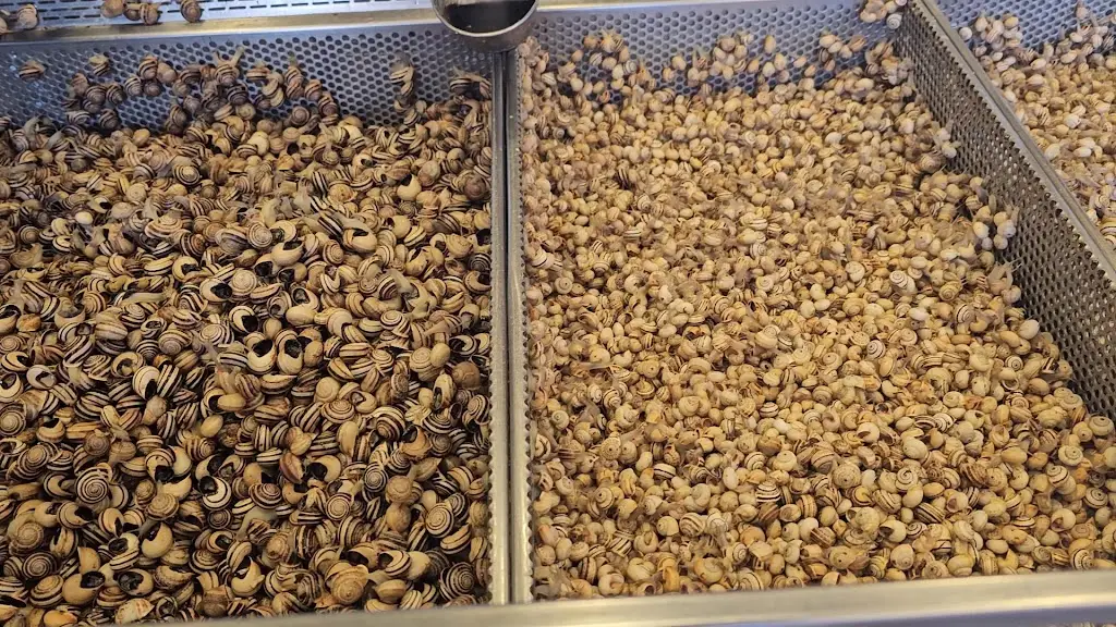 Casa dos Caracóis_Campolide_slider_image_2