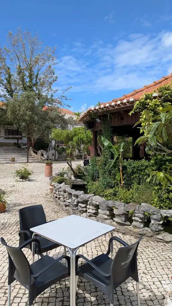 Frank Barten_O Camelo_Campelos_recensione