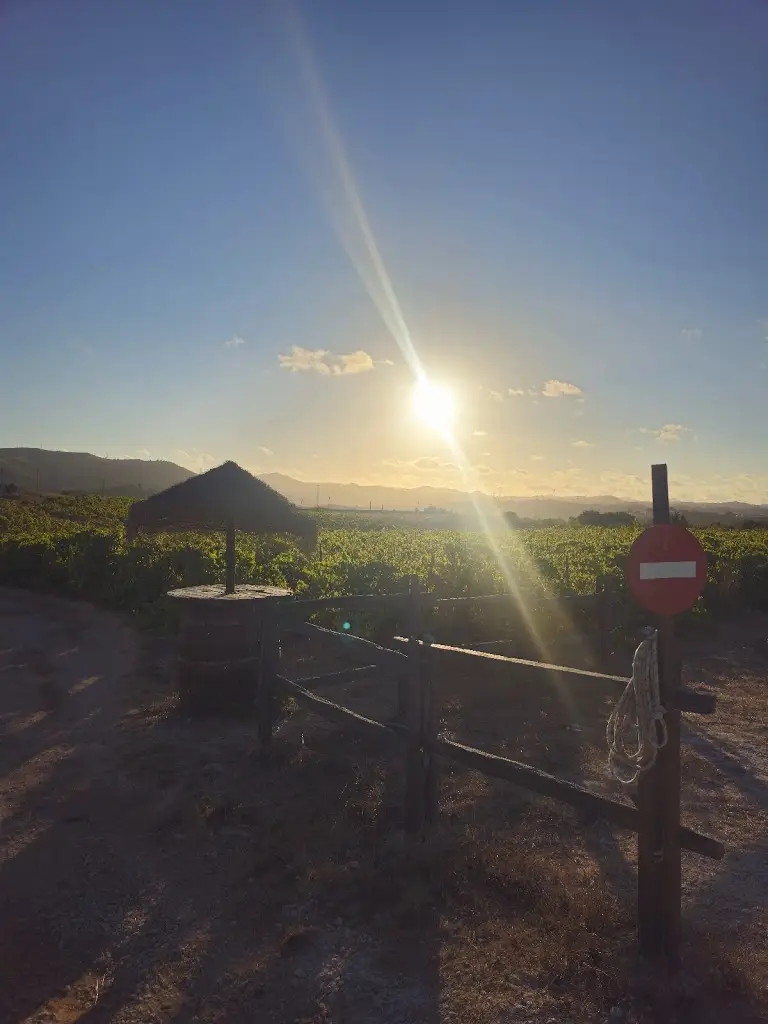 YØH_Chão do Prado_Bucelas_reseña