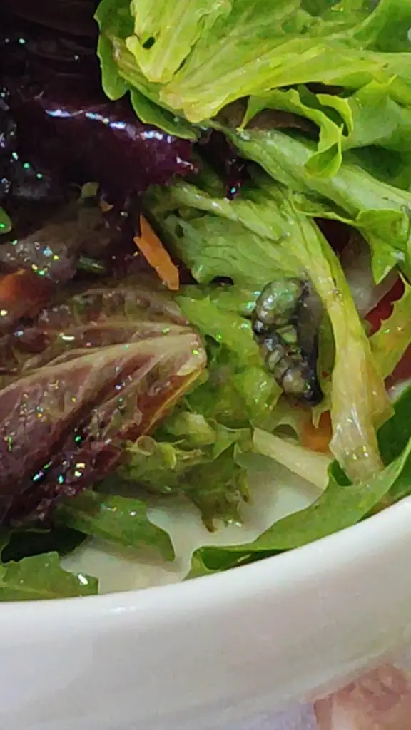 Restaurante Beira-Rio_Bucelas_slider_image_2