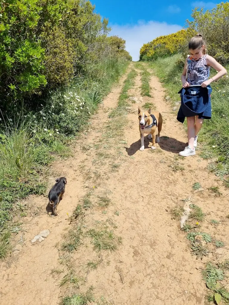 angela simone_Bar da Serra_Cadaval_recensione