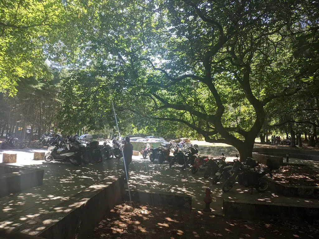 Tiago Santos_Bar da Serra_Cadaval_recensione