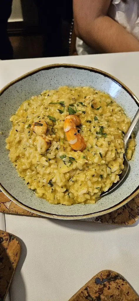 Vergílio Tonelo_Dom José_Cadaval_recensione