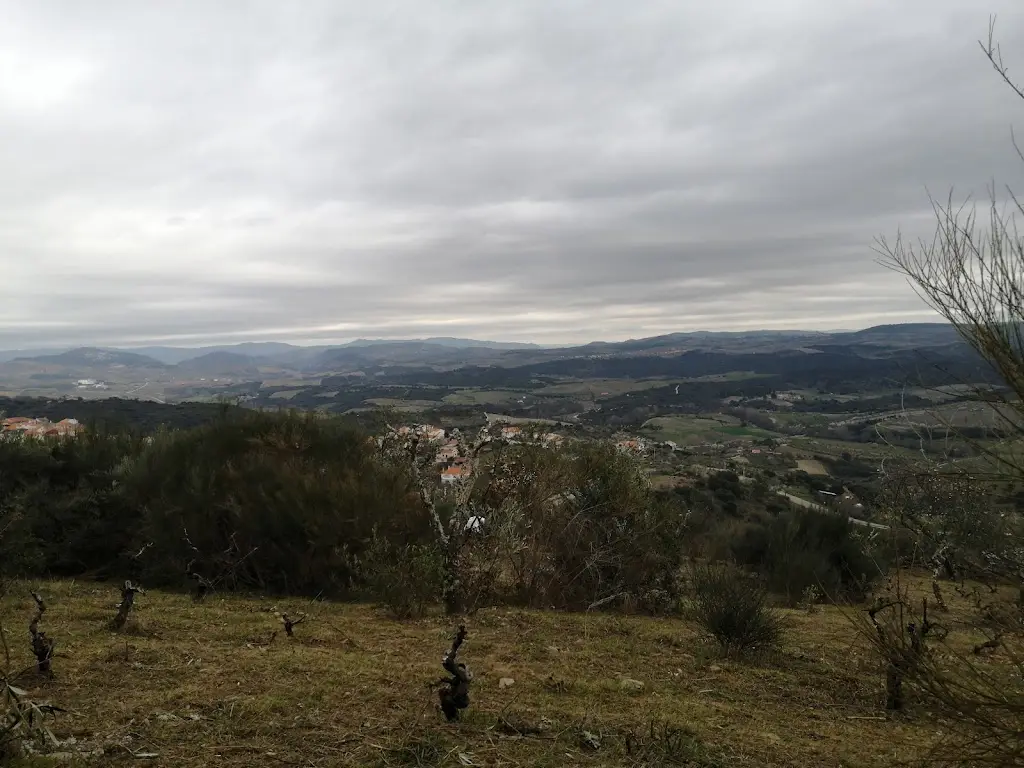 Café Snack-Bar O Diretor_Cedovim_slider_image_3