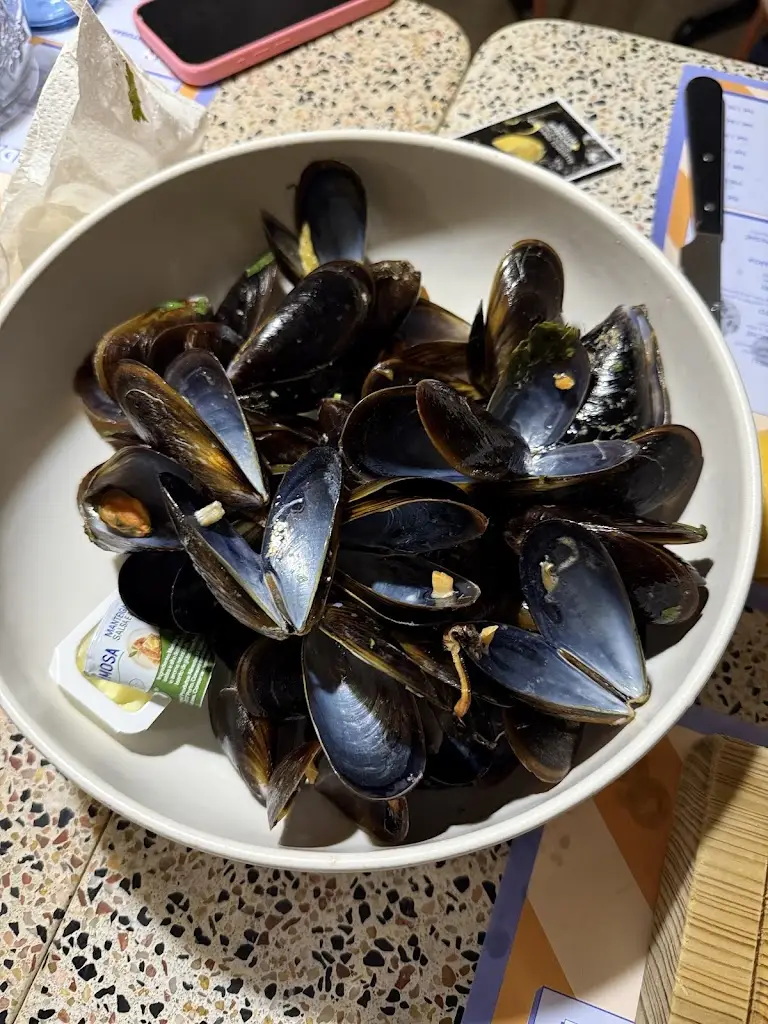 Suitcase Monkey_Moules & Gin_Cascais_recensione