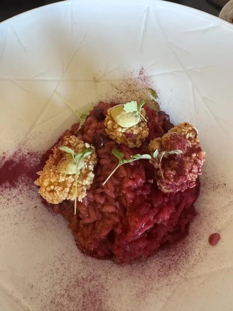 Dr. Angelique Barbara_Salpoente_Aveiro_review