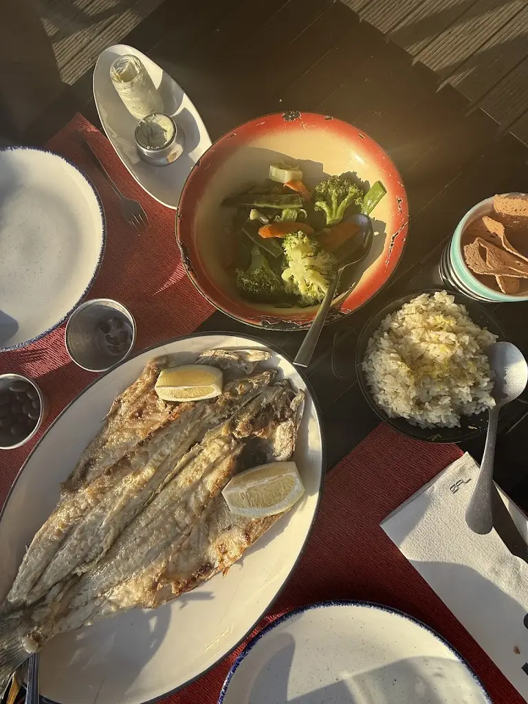 Norma Contreras_Sal_Carvalhal_recensione