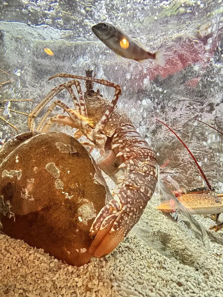 Andrew Klein_Comporta Café Beach Club_Carvalhal_recensione