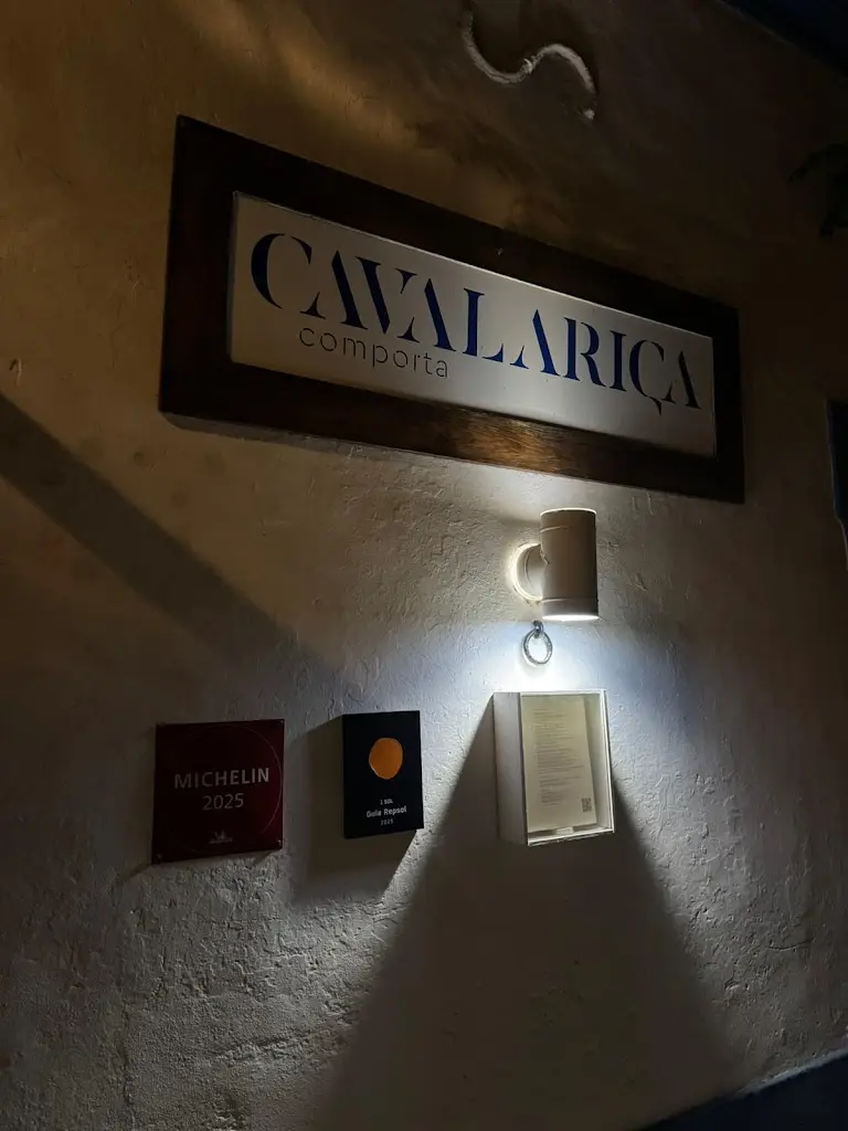 Thais Modolo_Cavalariça_Carvalhal_review