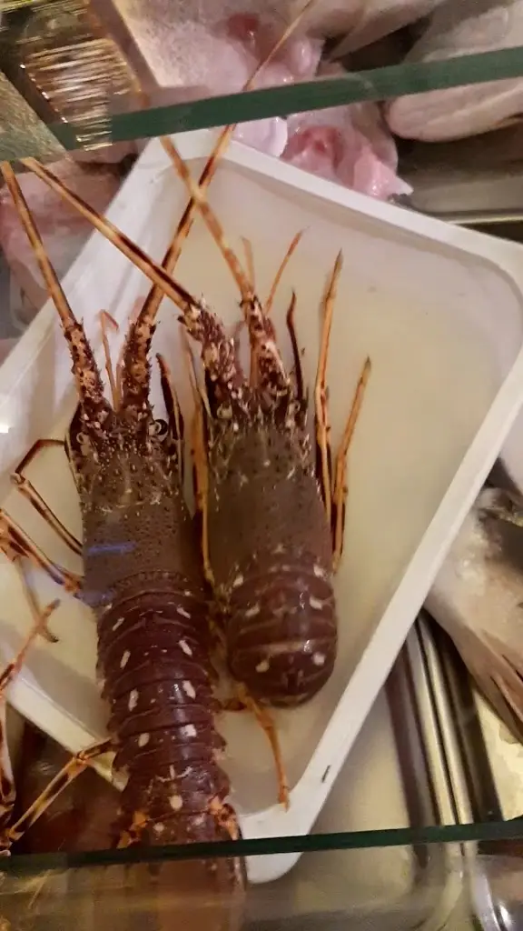 Dona Bia_Carvalhal_slider_image_2