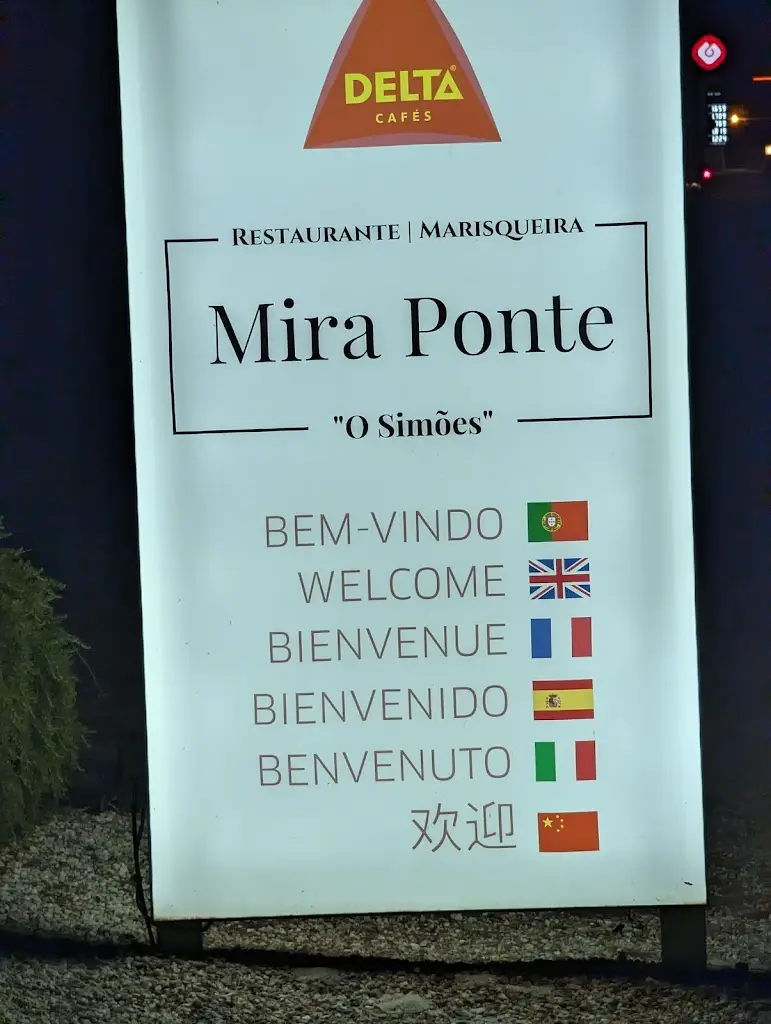 Ann Ferrier_Mira Ponte_Carvalhal_review