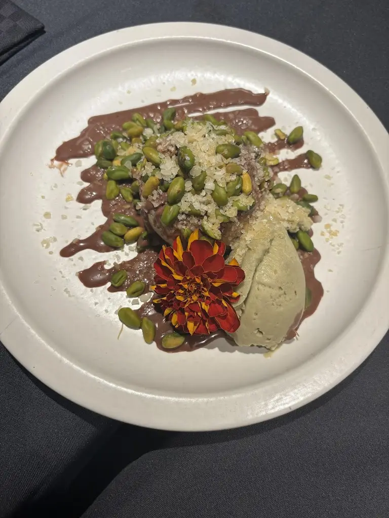 Vivene Almeida_3800_Aveiro_reseña