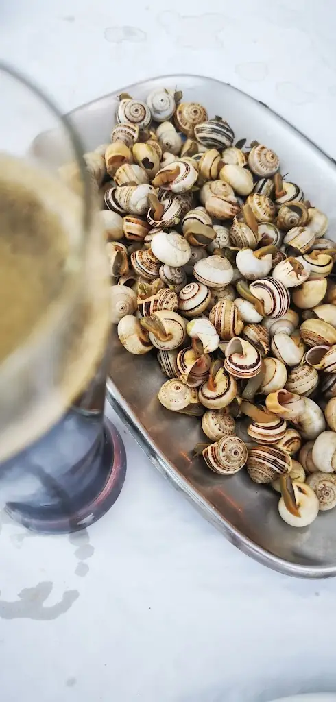 Menu_Gaivota Voando_Carnide_immagine_8