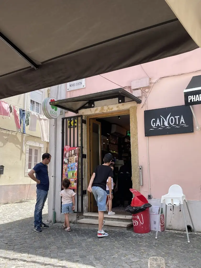 Tomás Carola_Gaivota Voando_Carnide_recensione