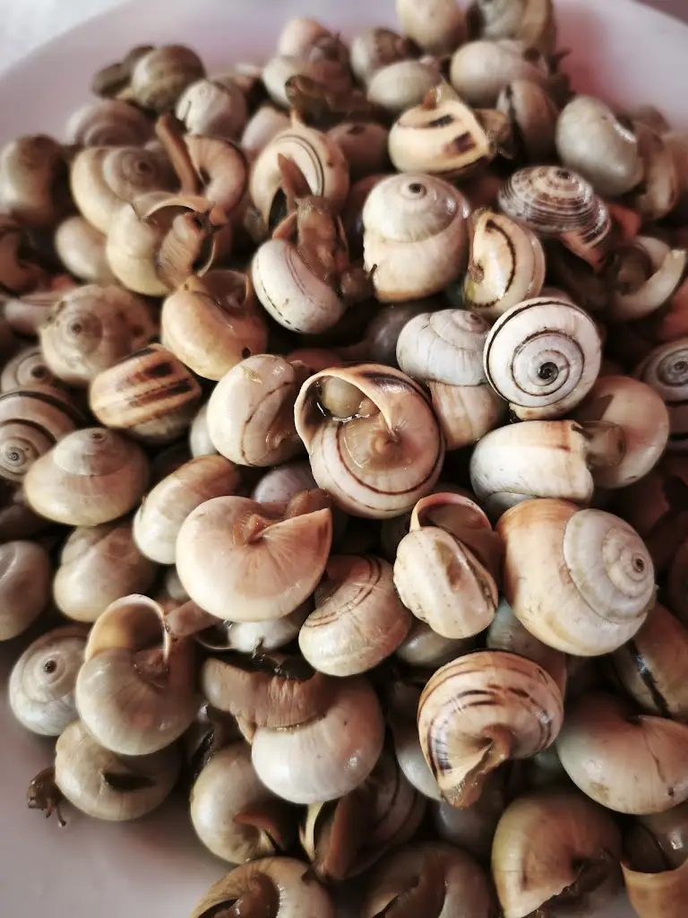 Gaivota Voando_Carnide_slider_image_2