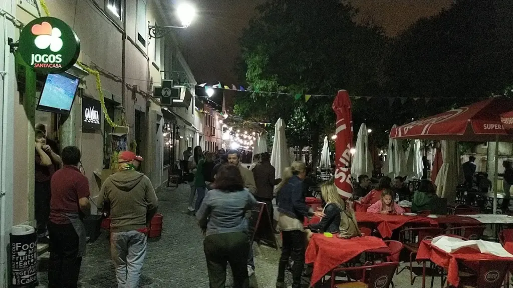 Gaivota Voando_Carnide_slider_image_3