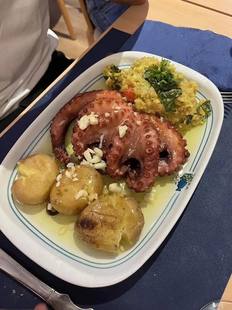 Beatriz Ribeiro_Terra Mar_Cheleiros_recensione