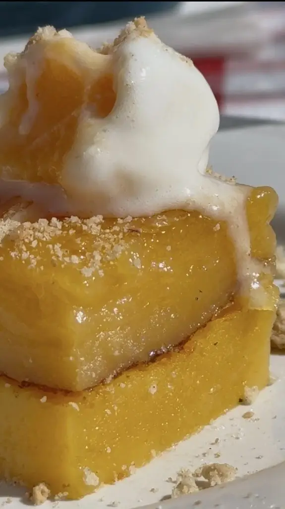 Ana Daya_Tasquinha do Gil_Cheleiros_recensione