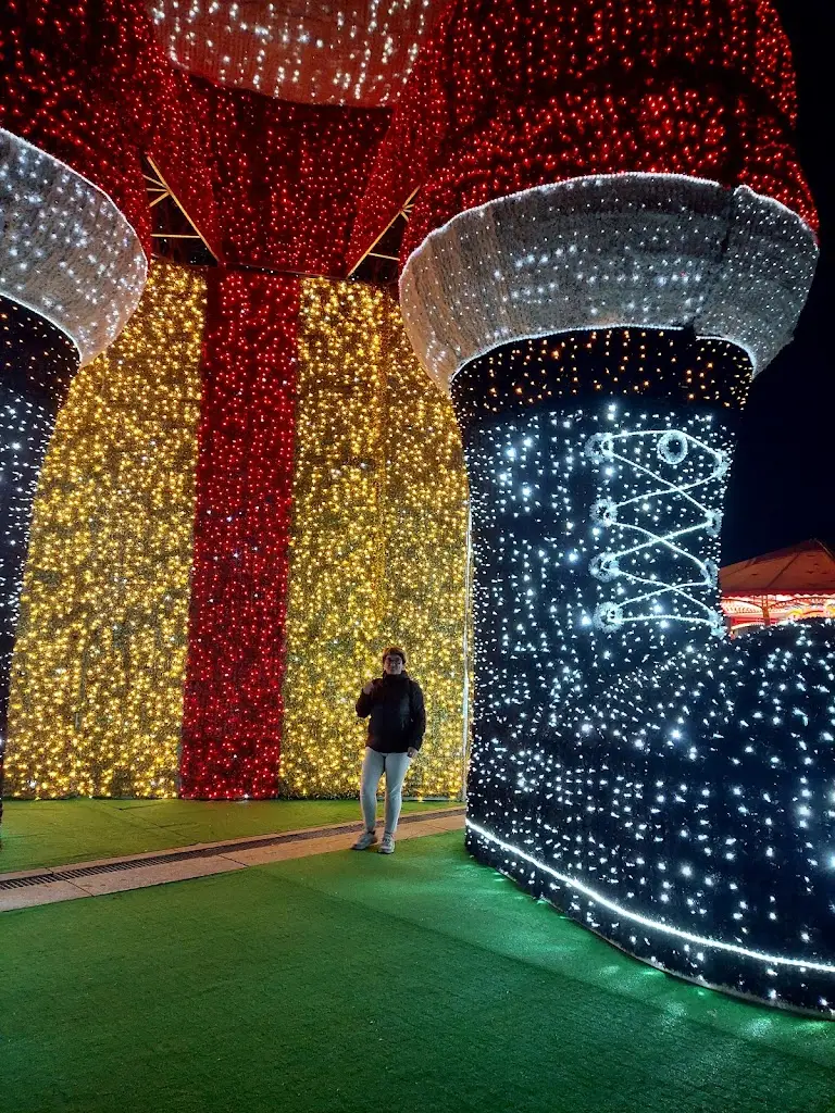 Telhas e Canecos Lda_Águeda_slider_image_3