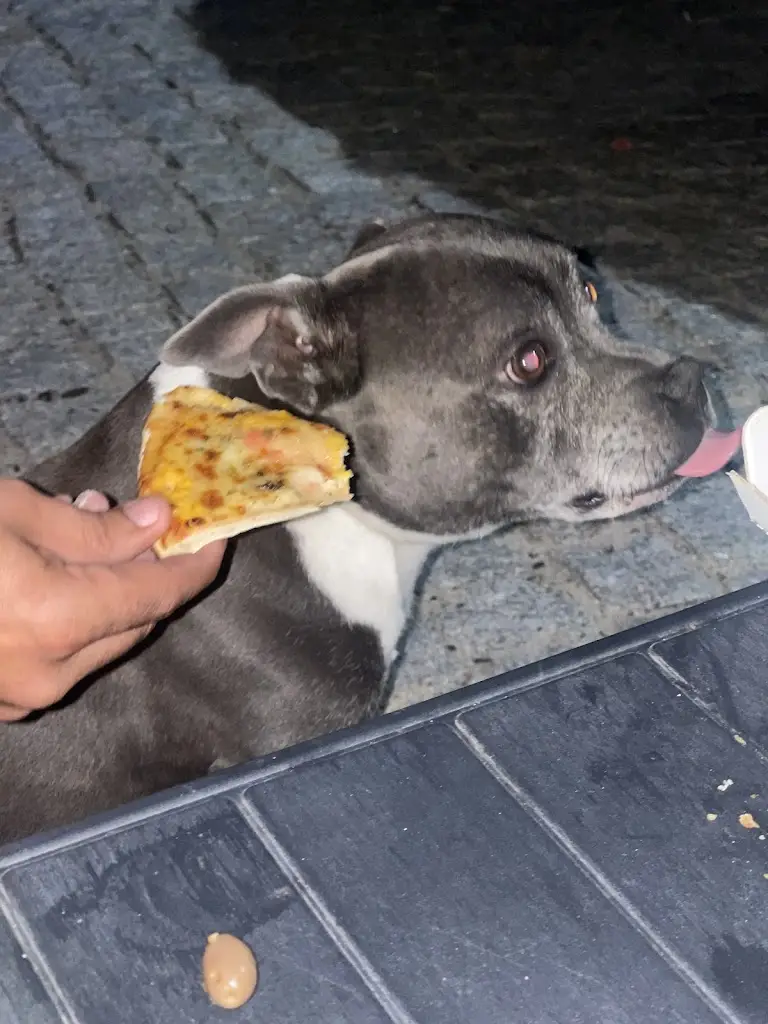 Fernando Pereira_Xavier lá Pizzaria_Cótimos_review