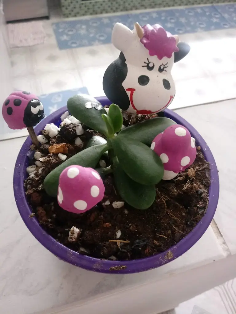 Menu_Restaurante O Botareu_Águeda_immagine_9