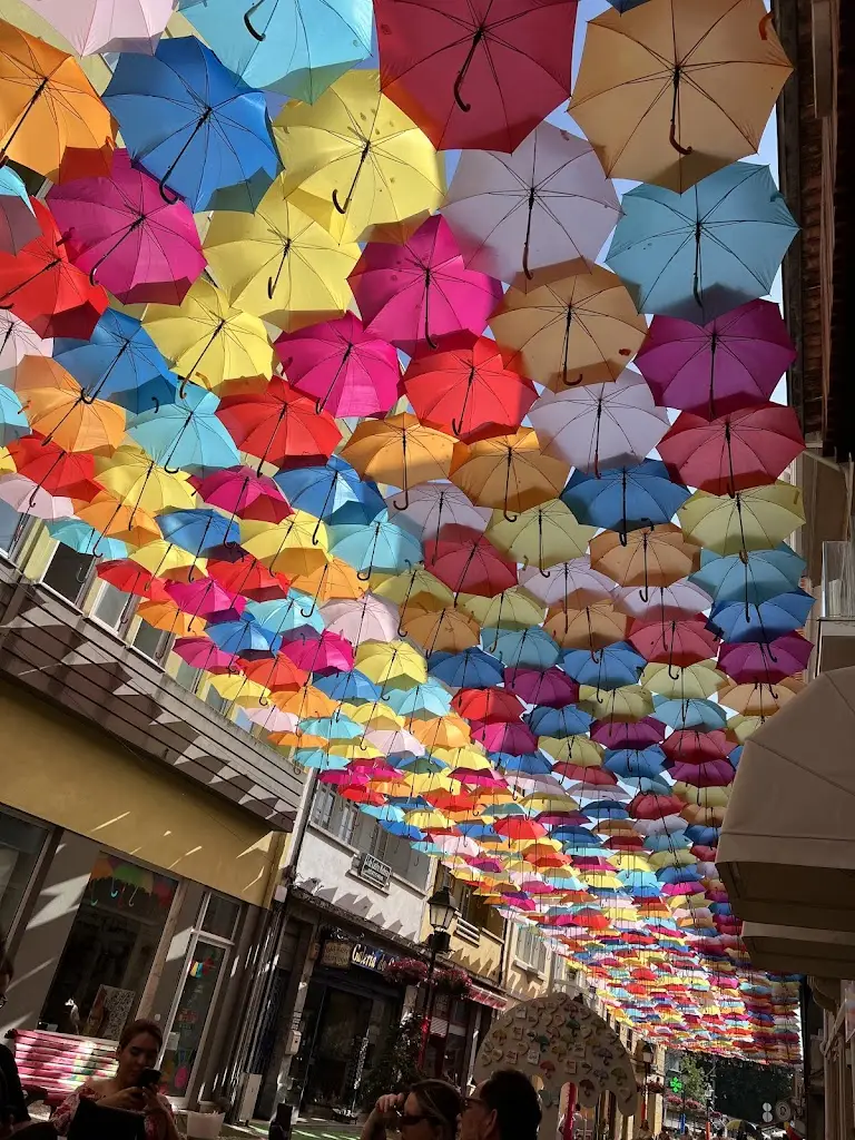 Jens_Boca-Rota_Águeda_avis