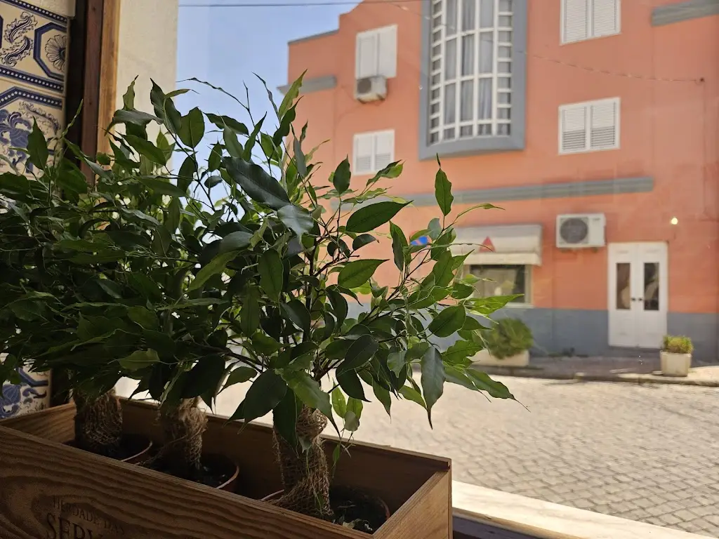 Sanaz Nik_Maia_Coruche_recensione