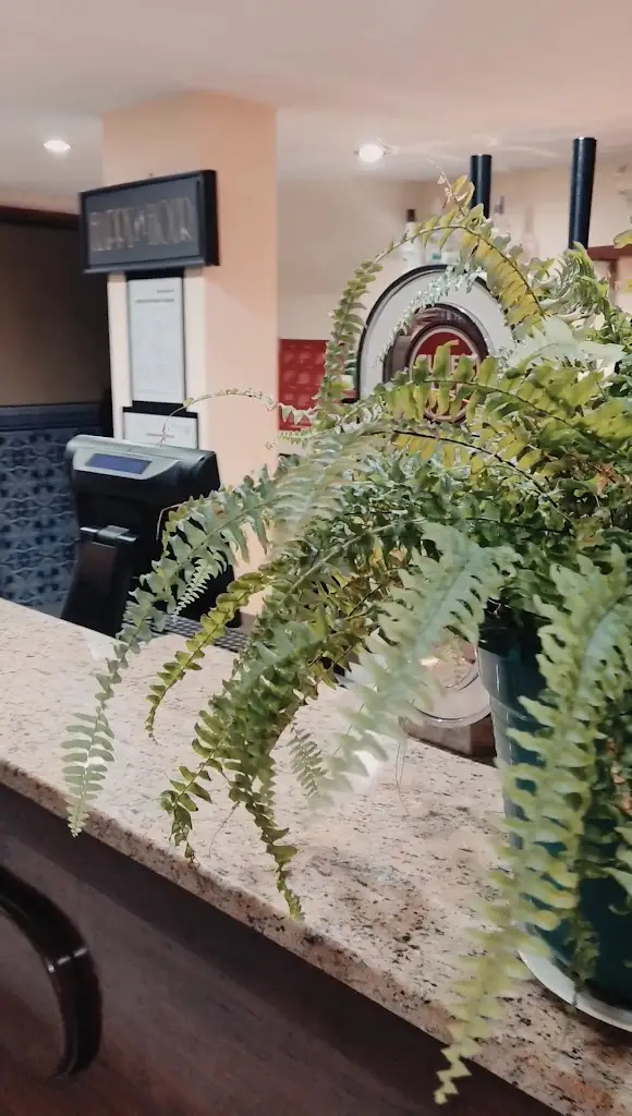 Restaurante o Laranjeira By Dri_Águeda_slider_image_2