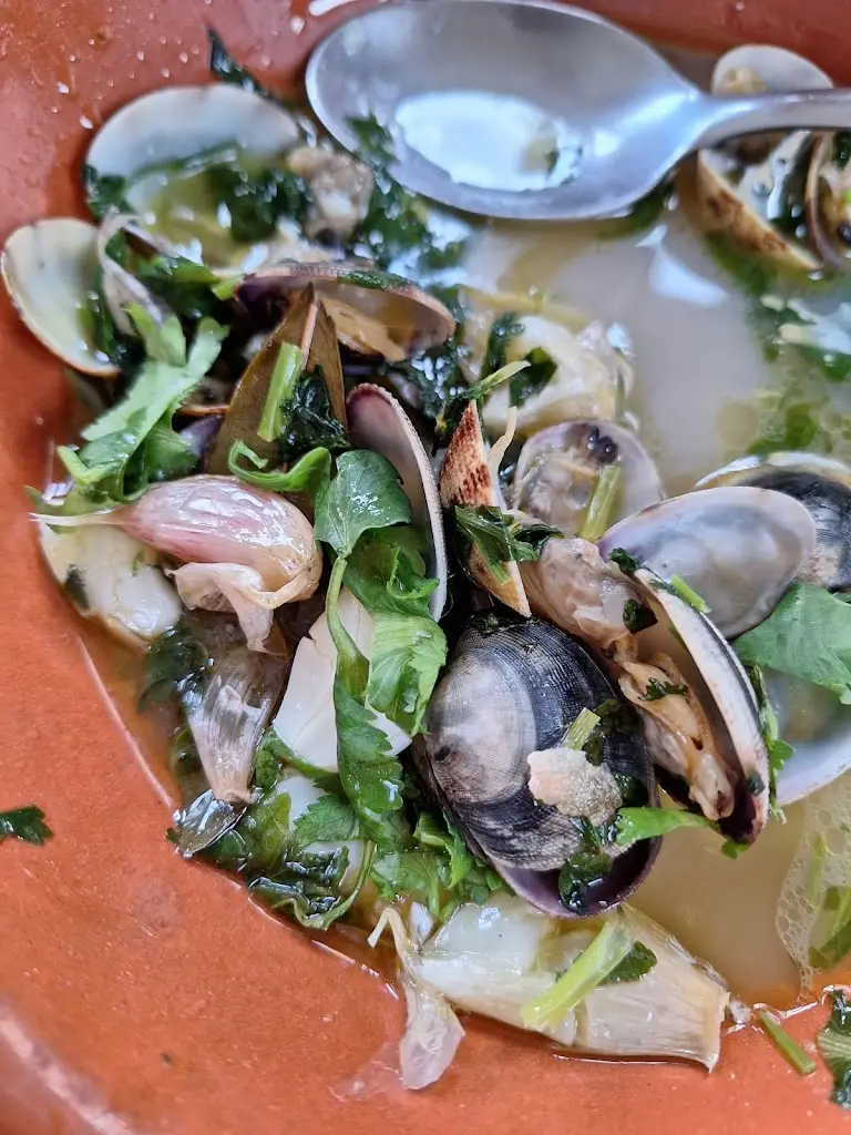 Daniela Rodrigues_Duplicados_Encarnação_recensione