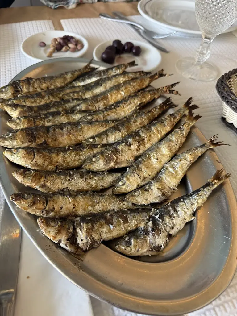 Marta Viana_Palmeirim_Charneca_review