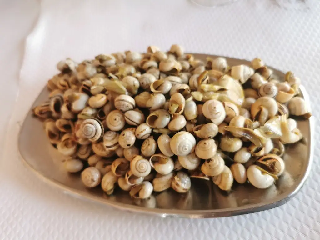 O Poço_Charneca_slider_image_3