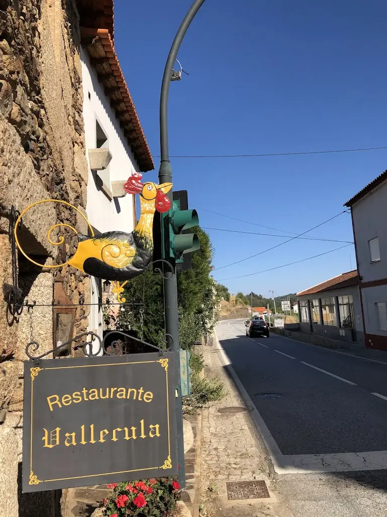 Rafa F. Nascimento_Vallecula_Fernão Joanes_recensione