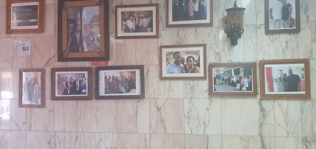 Sonia Campos_O Coqueiro_Damaia_recensione