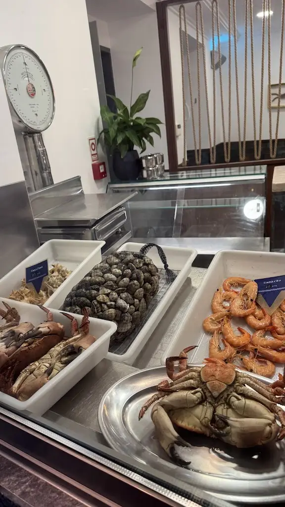 MsAllatt_Mar à Vista_Ericeira_recensione