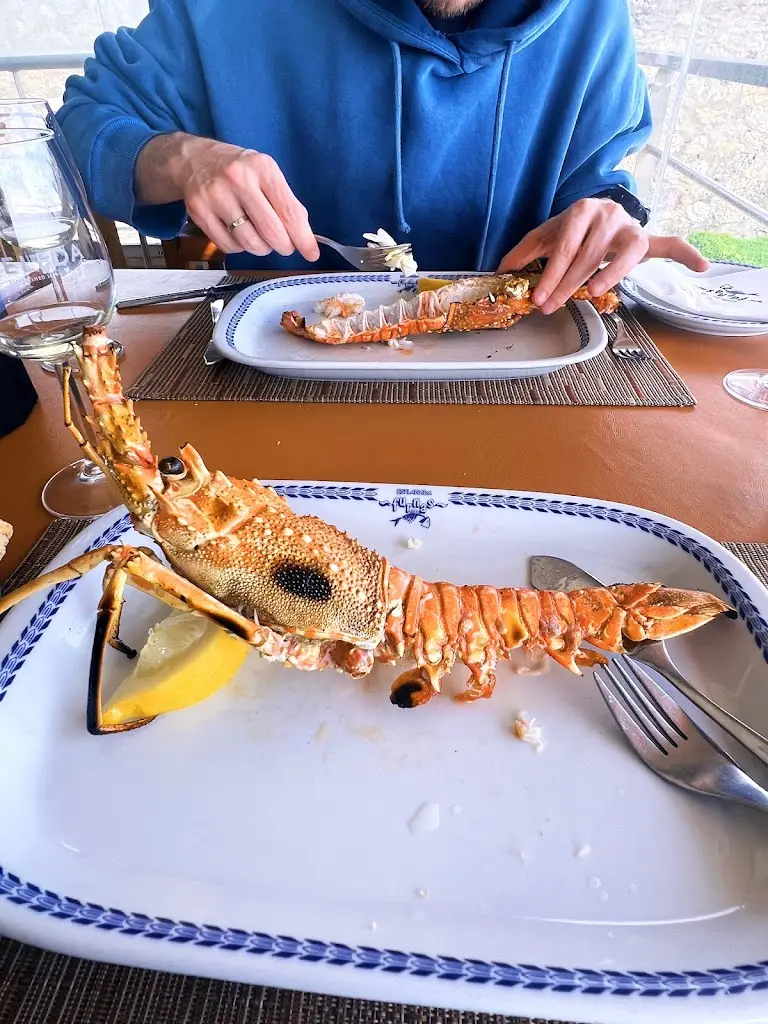 Ellie Bulka_Esplanada Furnas_Ericeira_reseña