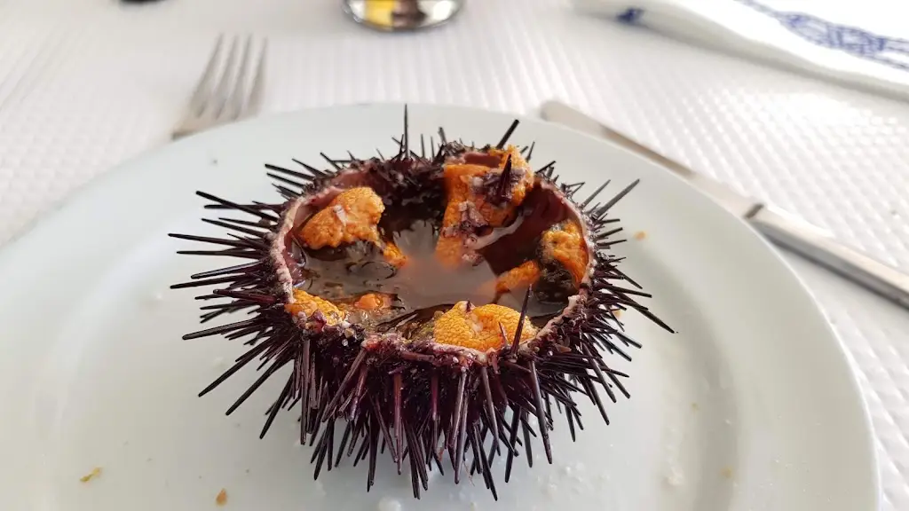 Menu_Ti Matilde_Ericeira_immagine_7